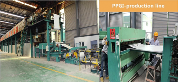 Prepainted Galvanized Steel Coil Ppgi And Ppgl 2